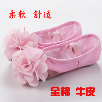 Three-dimensional flower dance shoes childrens dance shoes cat claw soft bottom practice Shoes ballet shoes leather head dance shoes