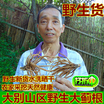 (Wild da ji gen) in the Dabie Mountain area Thistle dry Tiger Thistle thorns Thistle da ji gen 500 Ke-Fei Thistle