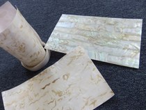 Wholesale oil flower pearl shellfish natural soft shell paper home decoration accessories lacquer painting art snail decoration