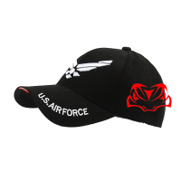 WD embroidered AIRFORCE baseball cap Tactical cap Flight squadron memorial military fan cap Duck tongue breathable cap