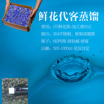 Ecological pine red plum flowers valet distillation 500ml pure dew dedicated full