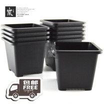 Package Medium 12 3cm Korean-style sedum Basin (10) suitable for single-headed old pile small group students