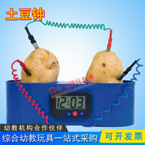 Young children Primary and secondary schools Scientific inquiry of young children Puzzle Science Toys Energy Conversion Electrolysis Power Generation Fruits Potato clocks