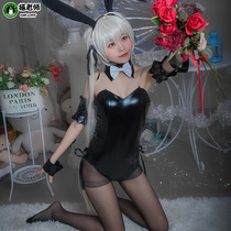 Cat teacher spring sun wild dome girl COS clothing fate of empty rabbit clothing cosplay womens sexy rabbit uniform