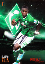 Netherlands international Elia Werder Bremen 2013-14 season autograph official card star card