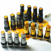 Car Vacuum Tire gas door Mouth Metal Horse Valves Mouth Aluminum Alloy Explosion tire Gas Mouth
