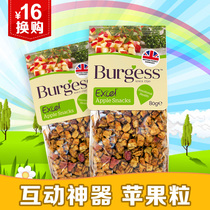 UK BURGESS Buggs Apple Grain 80g Interactive Theorizer