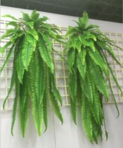 Simulation of ferns Persian grass Fern grass grass plant wall matching mountain Awn flower arrangement decoration mountain grass