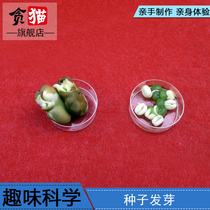 Scientific experiment toy set assembly small Newton technology small production material equipment creative puzzle seed germination