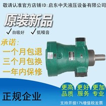 250MCY 250MCY14-1B original factory direct sales of Qidong high pressure quantitative axial plug oil pump motor