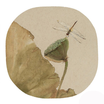 Early cicada Chinese style Chinese style womens clothing postage express fee special shot to make up the difference(customized special)