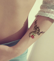 Colorful makeup color reapplies horror rose rose scorpion 6 graphs red blue scorpion tattooed waterproof X704