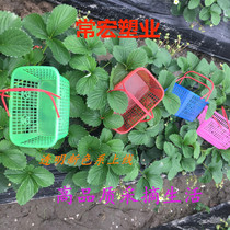Transparent Strawberry Basket Cherry basket Cherry Bayberry basket plastic portable picking basket grape basket Mulberry basket fruit basket wholesale