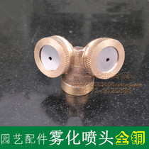 All copper thickening 2 points agricultural fog spray double nozzle lawn atomization