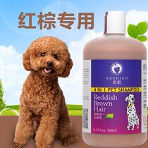 American Teddy VIP red brown hair pet shower gel 500ml