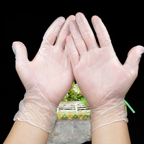 Mid-Autumn Mooncake Food Processing Disposable PVC Powder-Free Gloves Baking Tools Snow Mei Niang does not contain latex