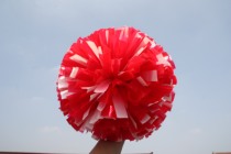 Red-White Mix with a cheerleading ball-exam-grade floral-ball cours with a playwright and a cheerleading flower