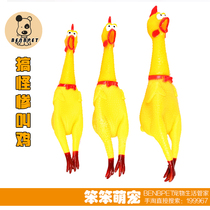 Dog vocal toy resistant to bite teddy gold wool pooch toy young dog pet screaming chicken screaming chicken