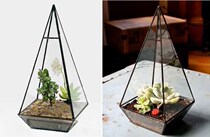 Succulents Glass Greenhouse Retro Triangular Flower Vase Moss micro-landscape