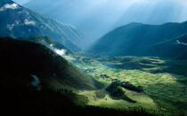 Chase you run lose your shoes make up the difference