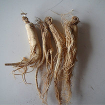 Changbai Mountain ginseng Jilin White ginseng raw skin raw sun-dried ginseng sulfur-free origin delivery 100 grams