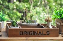 zakka Solid wood grocery classification Old tray Cosmetics storage tray Sundries meaty tray