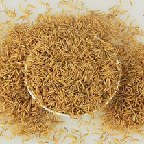 Naughty baby bird food bird food Golden Grain Worm dry snack thrush Starl myth bird food feed 50g