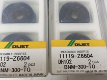 BNM-300-TG DH102 DH202 Japanese Daijie ball blade semicircular fine milling CNC blade R15