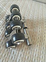 Parrot skating shoes large medium and small have models of Golden Sun Diamond Ash machine Amazon