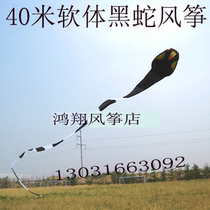 Lihua software 40 meters 60 meters software kite software snake kite flying effect is good special