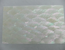 Natural scallop shell paper furniture decorative lacquer material mosaic nail nail nail sticker handmade DIY