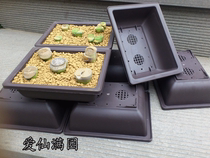 Special rectangular fleshy basin imitation purple sand plastic basin suitable for sowing seedlings
