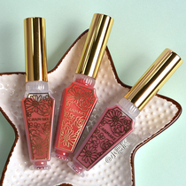 Japan CANMAKE Well fields 18 New matt dyeing lip gloss Lip Gloss moisturizing lasting not decolonising