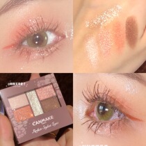 Japan CANMAKE five-color eye shadow flash nude makeup Tea carving nude novice entry Earth color 23 15