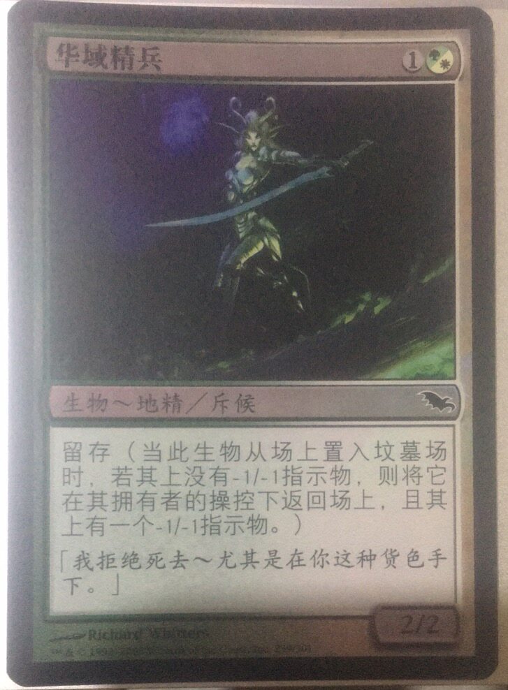 Domingsen Zhao Wanzhi Lights - SCART - Wan - shadowed the wilderness