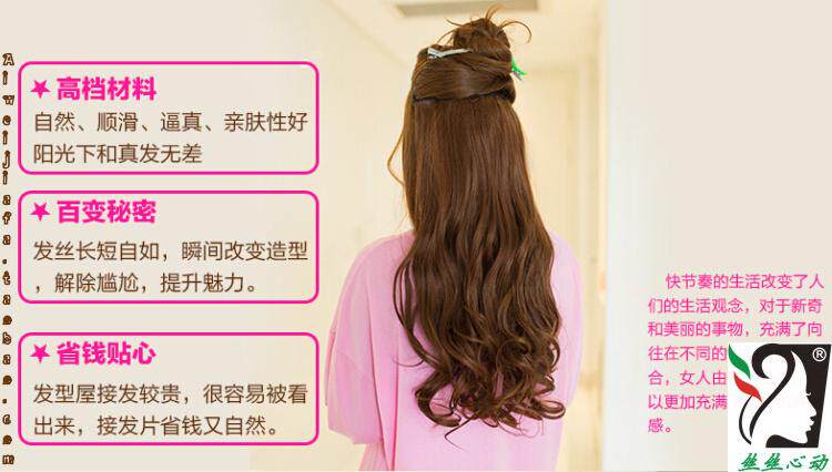 Extension cheveux - Ref 226394 Image 12