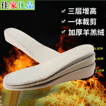 Winter new EVA shock absorption breathable lambskin booster pad thickened warm invisible inner height-increasing insole 1 5 2 5