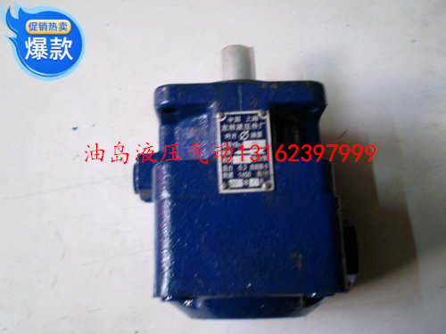 Blade pump Hydraulic Pump Blade Oil Pump YB1-25 YB1-12 YB1-16 YB1-20