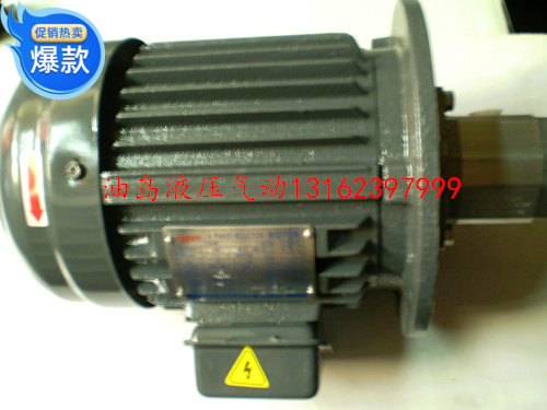 Hydraulic System Oil Pressure Motor Pumps Group Oil Pump Crew 1HP HGP1A