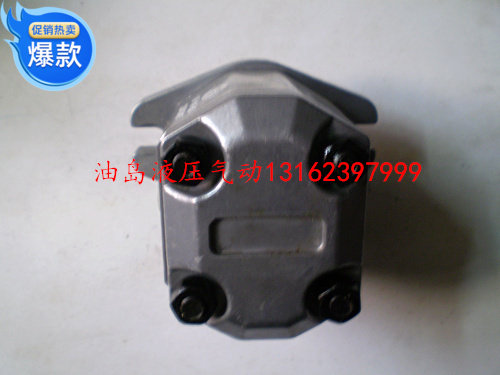 Hydraulic pump oil pump high-pressure gear pump gear oil pump HGP1A-F4R HGP1A-6R