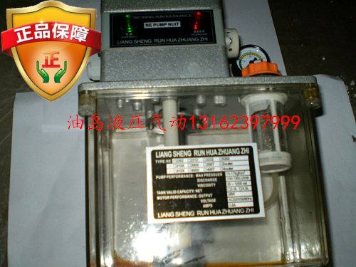 2L electric lubrication pump RE2202 injection molding machine Automatic lubrication pump machine tool lubricant pump electric pump