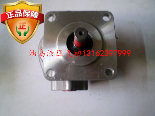 GPY series high-pressure gear pump hydraulic pump hydraulic gear pump GPY-3R GPY-F3R
