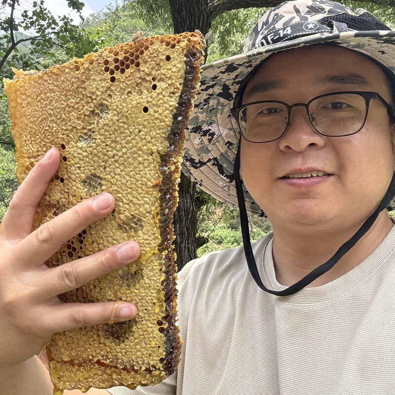 Authentic Wild Honeycomb Honey to Chew On, Wild Native Honey, Natural Without Additives, Wooden Barrel Honey Stick, Qinling Brothers