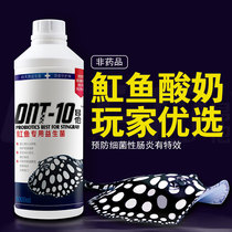 Onta stingray Arowana fish tank aquarium special probiotics prevent bacterial enteritis Improve stomach and increase appetite