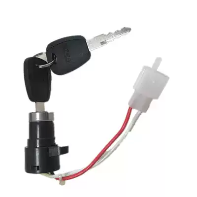 Pigeon racing electronic door lock electric car power lock tricycle electronic door lock durable original small head lock metal core