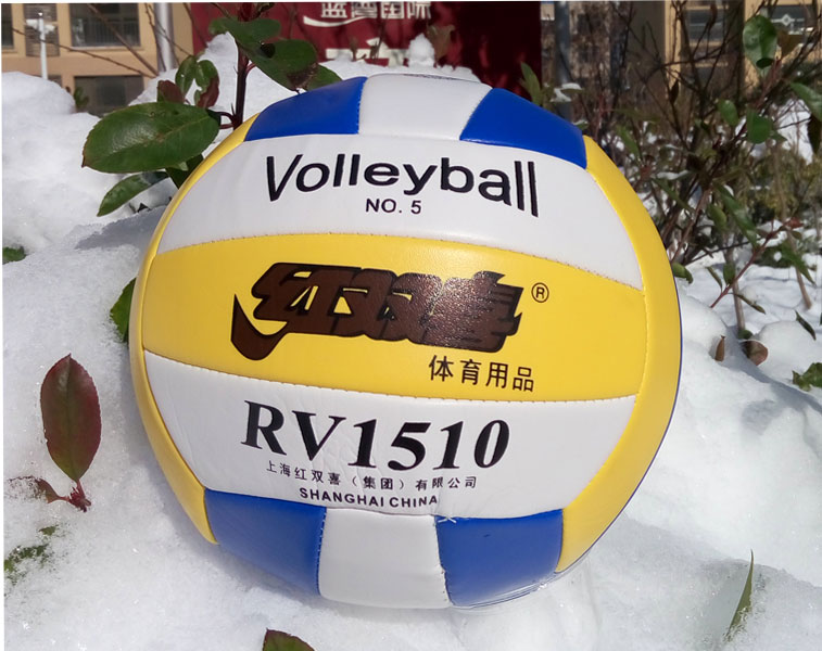 Ballon de volley - Ref 2012083 Image 13