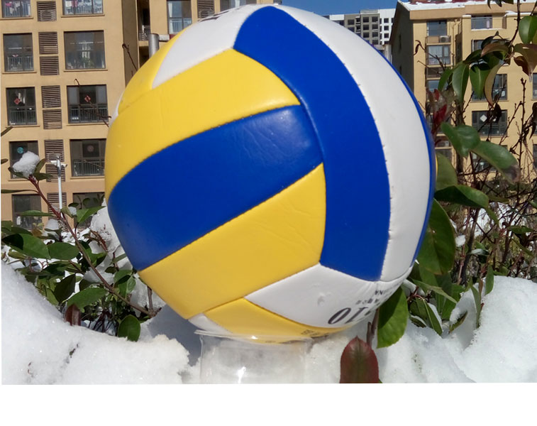 Ballon de volley - Ref 2012083 Image 15