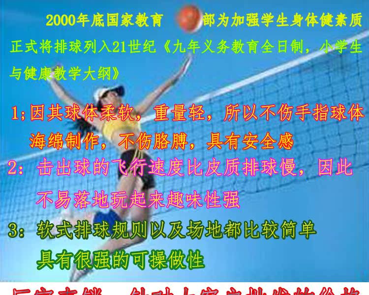 Ballon de volley-ball - Ref 2009831 Image 6