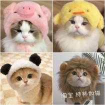 Pet Pig Pig Headgear Plush Small Chicken Hat Kitty Pooch Muggy Changing Hat Frog Small Bear Panda Lion Headwear