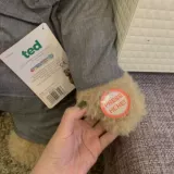 Американская коллекция покупок версии фильма «out -pprint» Ted Bear Bar